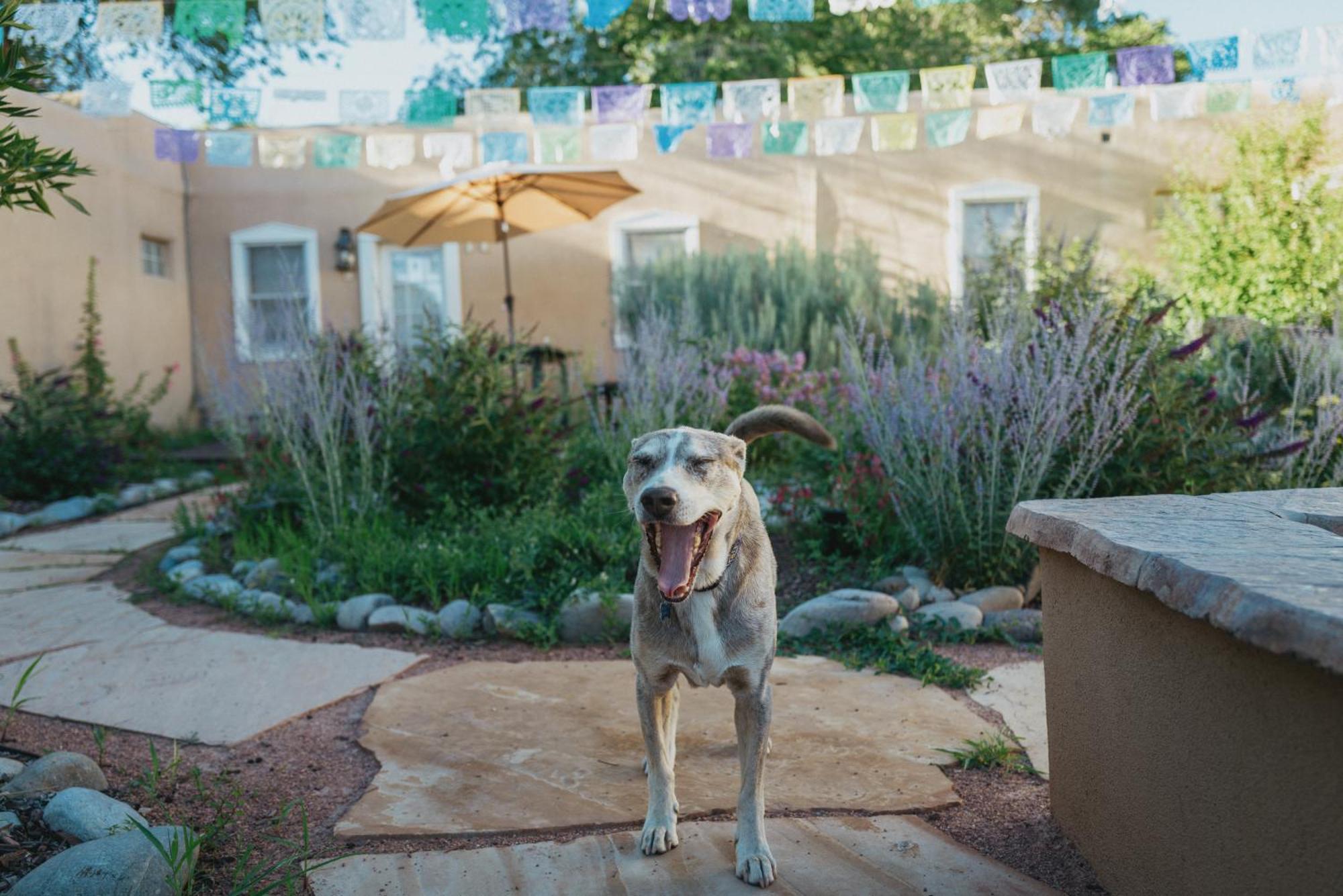 Dos Hermanas Compound 7 Casitas Downtown *